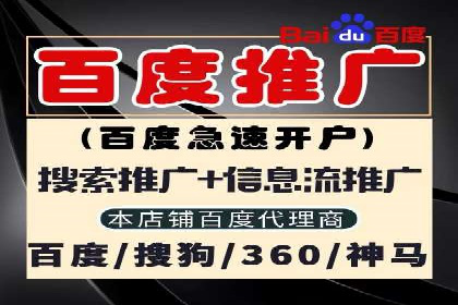 探索SEM竞价员的核心工作与案例分析